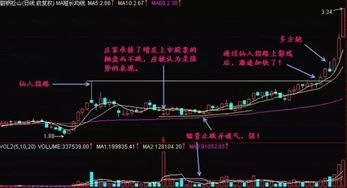 行情不好时，一只股票跌到什么价格才算基本到底部去区域了？