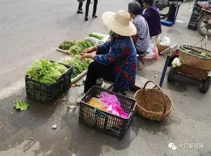 静乐农民的好日子来了 10月1日后进城摆摊不再属于无照经营