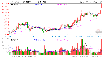 为什么林海股份，没有什么业绩却一直涨？