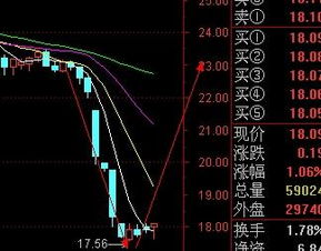 思源电气发行股价是多少