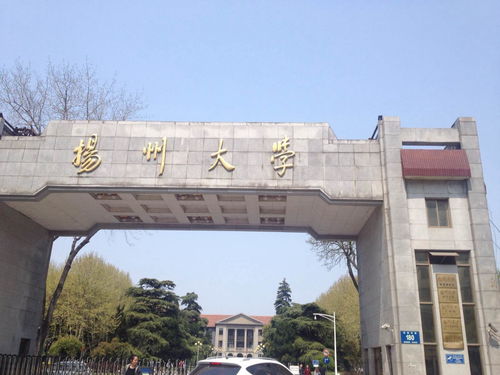 杨州大学有哪些专业