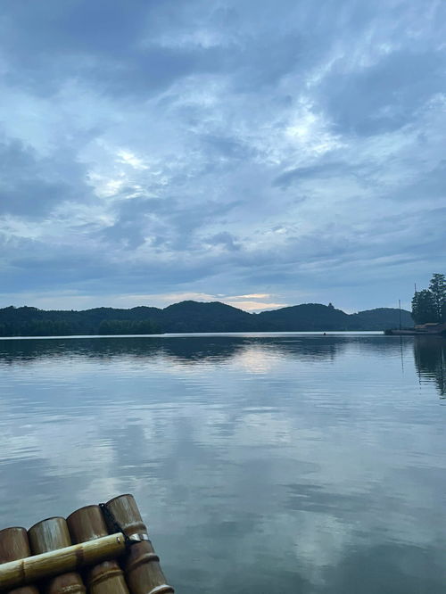 武汉夏天 现实版绿野仙踪真的很不错 