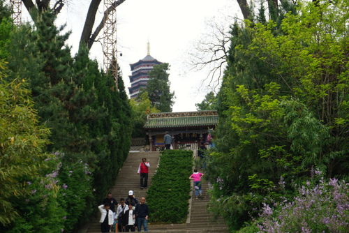 五一天水一日游 伏羲庙玉泉观南宅子南郭寺 