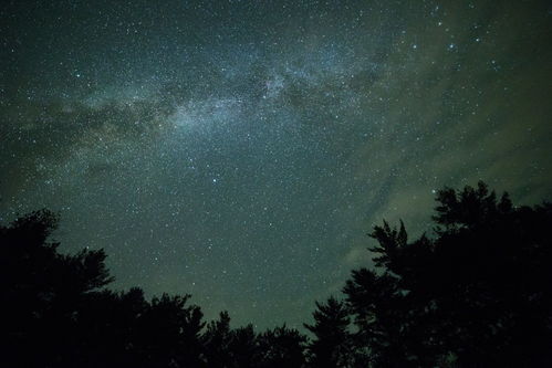 夜有繁星,光下有尘,这就是万物各有所安的世界