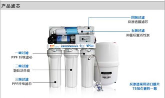 八字电脑RO反渗透纯净水机 家用纯水机直饮厨房净水器 过滤器
