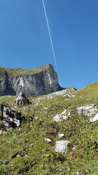 洞口县旅游景点大全