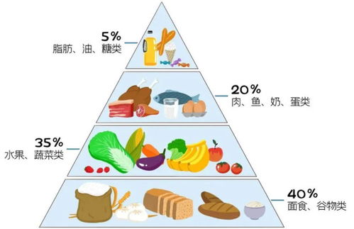 谷医堂多师共管糖尿病 吃多了主食会肥胖,还会得糖尿病