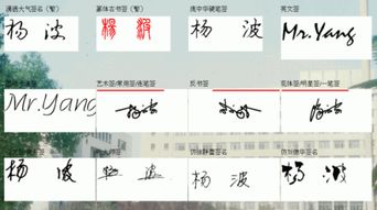 杨波的签名怎么写 