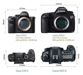 单反与黑卡相机和微单 区别是什么 想买一部相机,新手,中低端的 