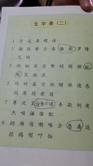 找同音字 