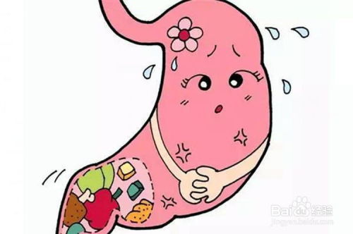 怎么调理肠胃不好吃什么胃病的症状怎么养哪几种 