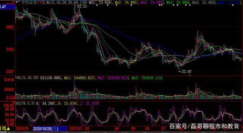 怎么看中信证券自选股在那个文件里