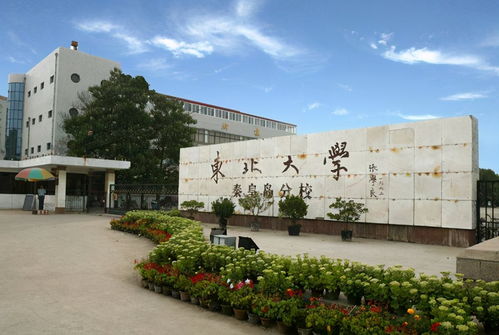 秦皇岛有哪些985大学吗