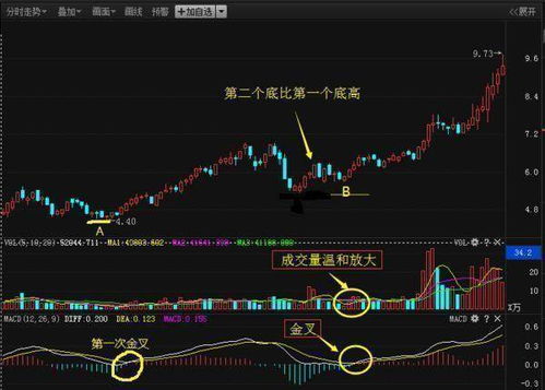 怎样底部选股