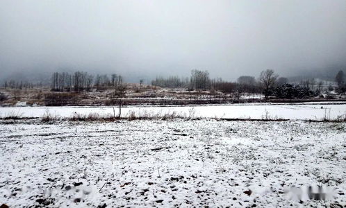 昨日,晋城这里下雪了