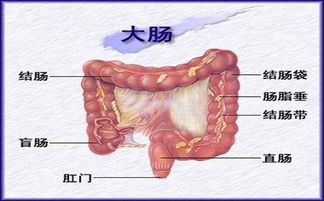 先天性巨结肠的患者如何做护理工作 