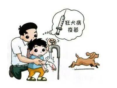 世界狂犬病日 文明养犬 预防 狂犬病