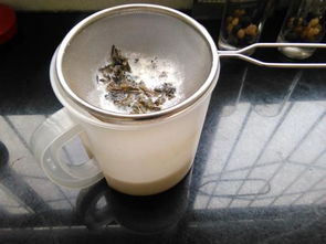牛奶加菊花茶可以做奶茶吗,菊花茶和牛奶能一起喝吗