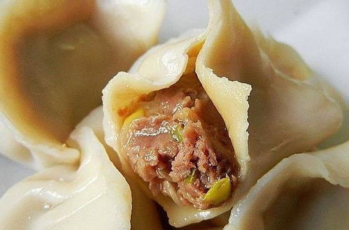 羊肉饺子腥味大 放调料最关键,加点 它 ,饺子鲜嫩多汁无腥味