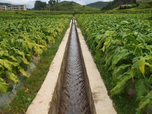 水土保持农艺措施包括哪些种类