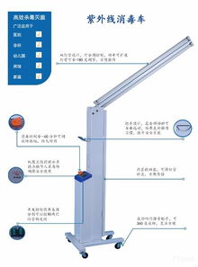 注册公司种类都有哪些 (家用灯具批发m)