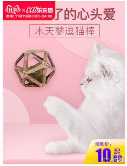 有什么推荐给新手铲屎官的猫用品 