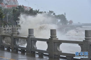 江门台风山竹登陆 广州市大风暴雨 