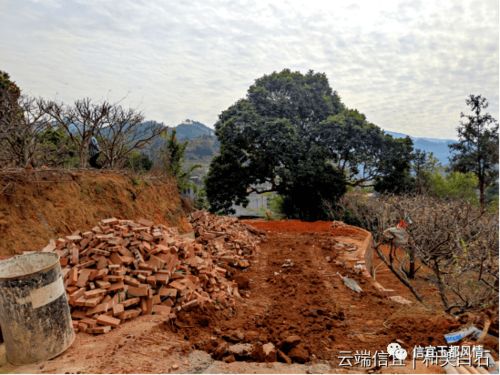 信宜白石一村民不听劝阻占用耕地顶风抢建房,结果又是白做