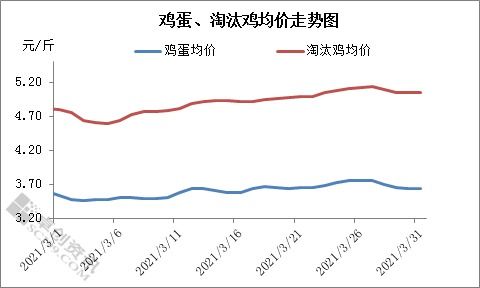 对比往年淘汰鸡价格走势分析