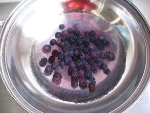 蓝莓果冻的做法 菜谱 好豆 