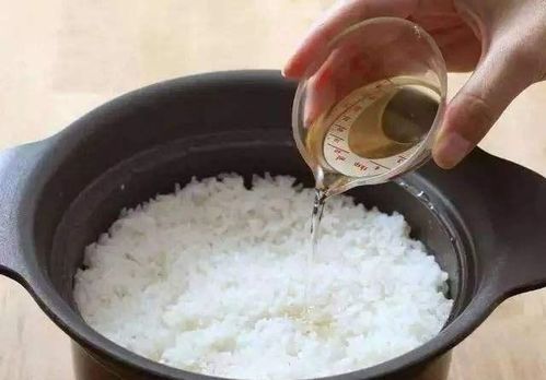 蒸米饭的几个小技巧,学会了更容易蒸出又香又软的大米饭