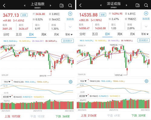 股票：关于资金股份