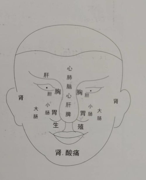 2021年最准算命算卦起名在线分析命理案例