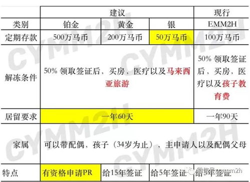 澳门2024年精准资料大全·掌握2024年澳门最全面的信息与见解