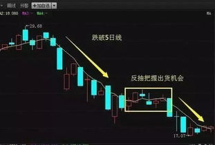 13日线操作是每天操作一只股票