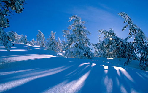 冬天景色图片儿童画热闹的雪景 米粒分享网 Mi6fx Com