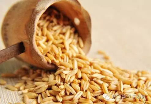 燕麦片的食疗功效与作用 营养价值,减肥效果以及对健康的其他好处