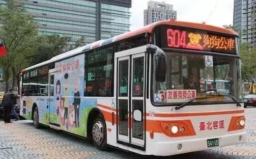 视频 台北狗狗公交车,看了真是让人羡慕死