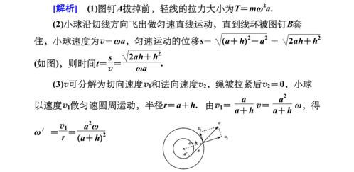 弧度制小结范文_圆周运动公式的总结？