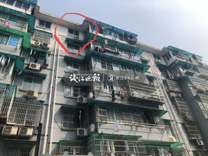 突发丨杭州拱墅区勤丰小区一男孩从7楼坠楼 