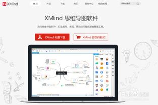 如何在电脑上做思维导图 