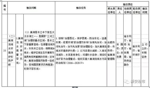 项目详细方案查重常见问题及解决方案