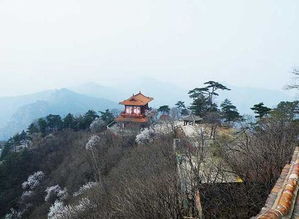 景忠山景区 搜狗百科 