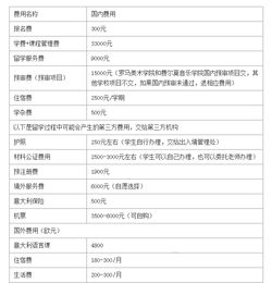 艺术生申请留学意大利读西安外国语大学留学预科项目总费用多少