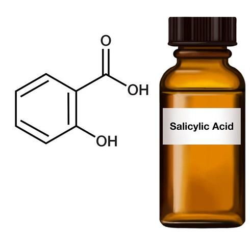 水杨酸的作用-图1