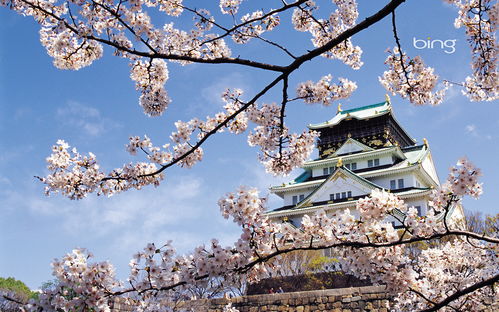 日本风景图片 搜狗图片搜索