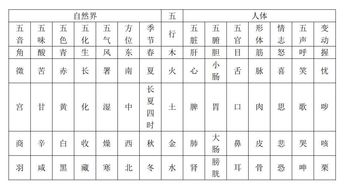 2019山东专升本中医基础理论必备考点 