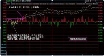 看股票为什么叫盯盘，什么叫盘