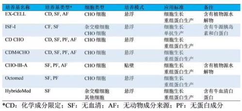 查重率检测在哪里做？五种方法告诉您答案