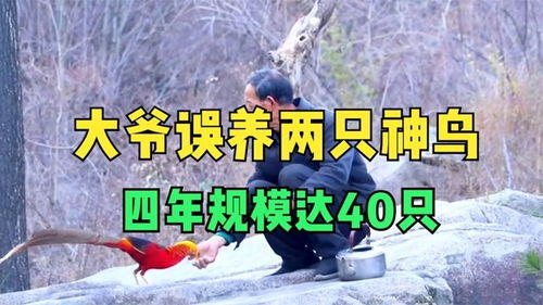 亿万富翁的女友有多爽 生日直接送劳斯莱斯,每个月60万零花钱 